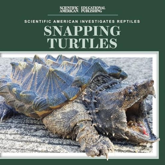 Snapping Turtles