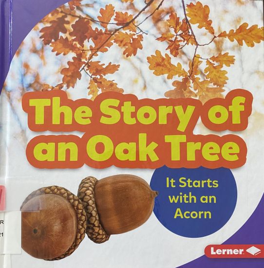 The Story of an Oak Tree: It Starts with an Acorn