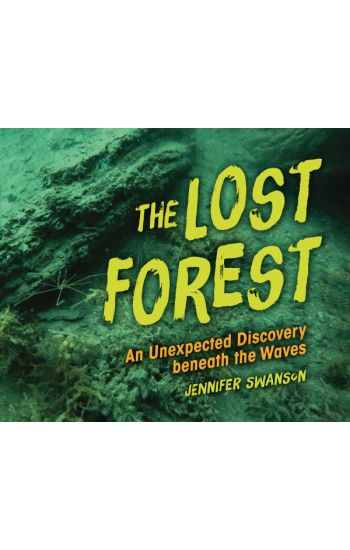The Lost Forest: An Unexpected Discovery Beneath the Waves