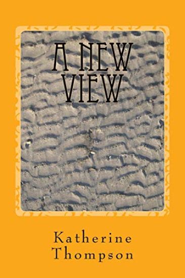 A New View: Dissociative Identity Disorder in Picture