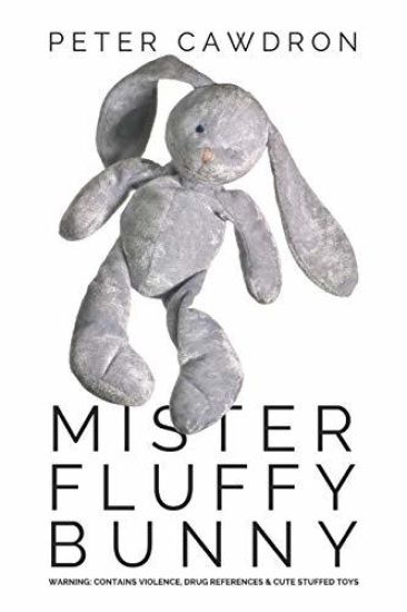 Mister Fluffy Bunny