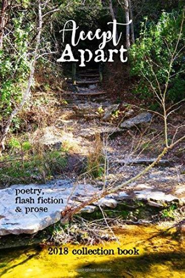 Accept Apart: 2018 Scars Publications Collection Book