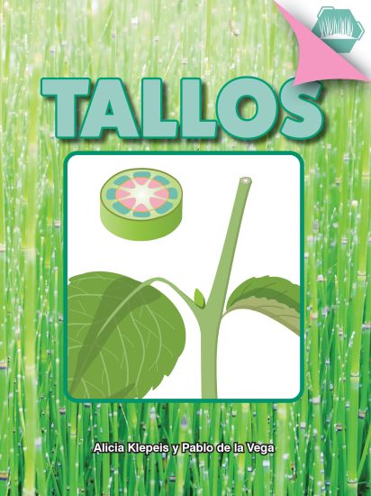 Tallos: Stem