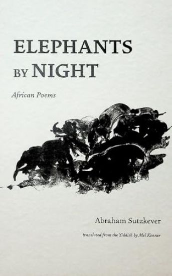 Elephants by Night