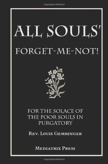 All Soul's Forget-me-not