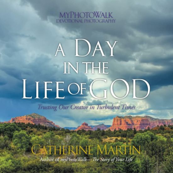 A Day In The Life Of God: Trusting Our Creator in Turbulent Times