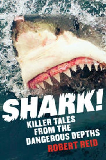 Shark!