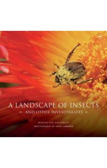 A landscape of insects and other invertebrates