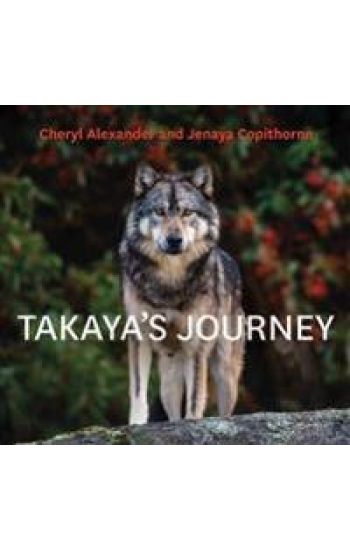 Takaya's Journey