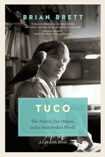 Tuco and the Scattershot World