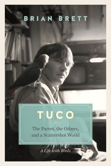 Tuco and the Scattershot World