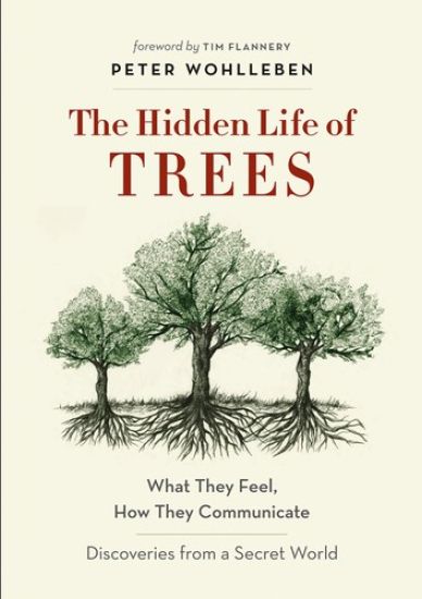 The Hidden Life of Trees: What They Feel, How They Communicate--Discoveries from a Secret World