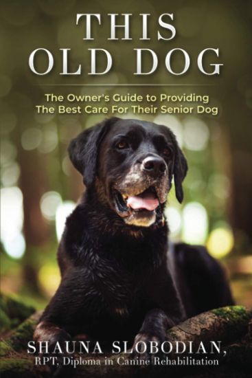 This Old Dog