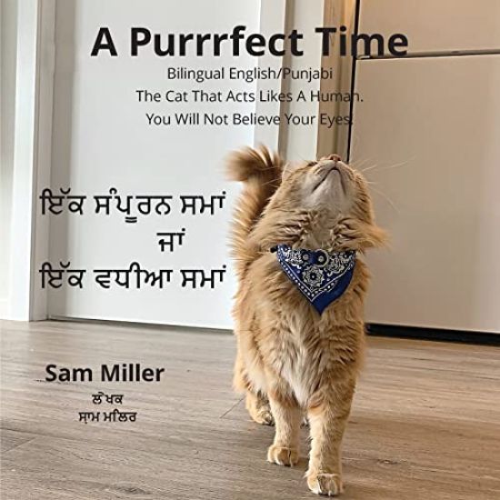 ??? ?????? ???? ??? ??? ???? ???? - A Purrrfect Time