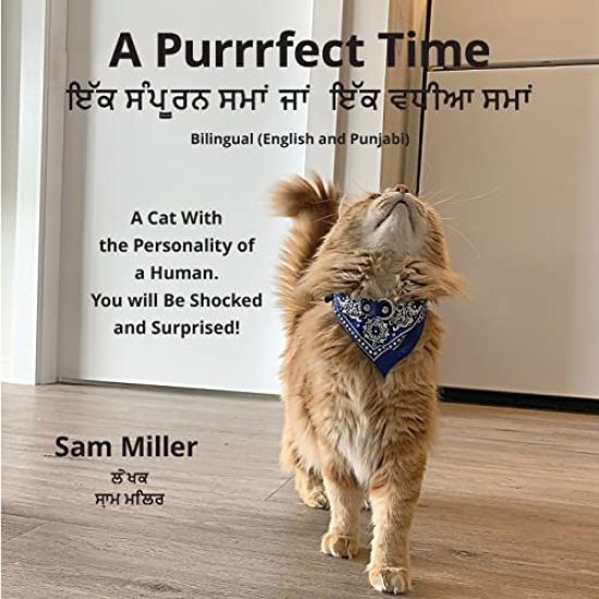 ??? ?????? ???? ??? ??? ???? ???? - A Purrrfect Time