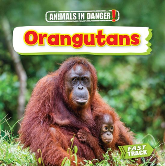 Orangutans – Nancy Dickmann, kirjan kansikuva