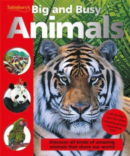 Animals