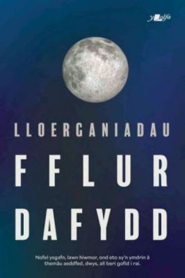 Lloerganiadau