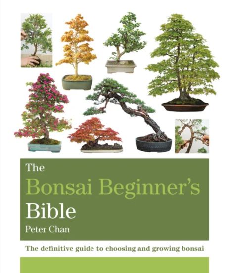 The Bonsai Beginner's Bible – Peter Chan, kirjan kansikuva