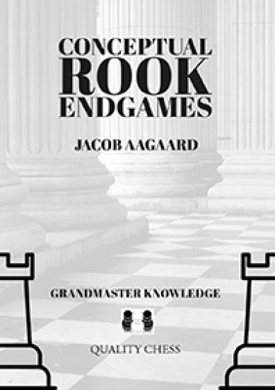 Conceptual Rook Endgames