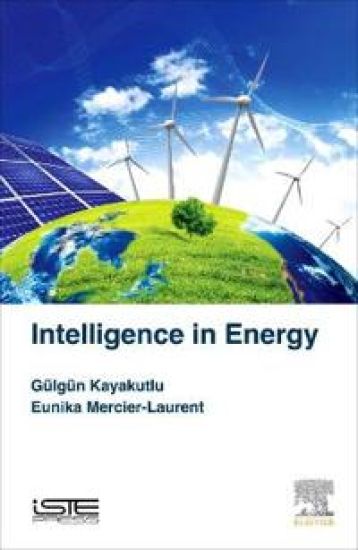 Intelligence in Energy