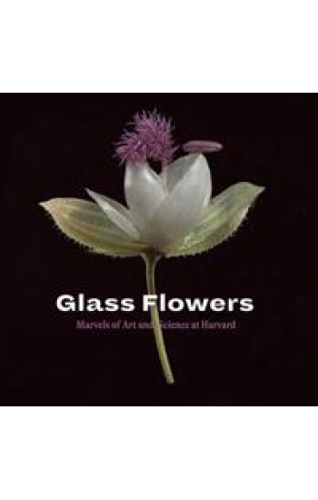 Glass Flowers