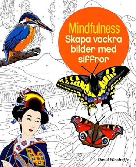 Mindfulness : skapa vackra bilder med siffror – David Woodroffe, kirjan kansikuva