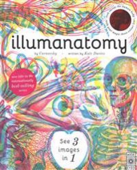 Illumanatomy