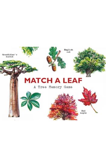 Match a Leaf