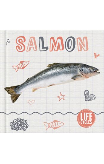 Salmon