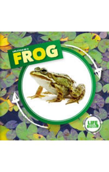 Life Cycle of a Frog
