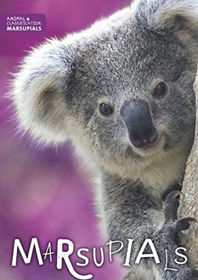Marsupials