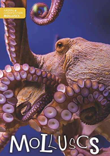Molluscs