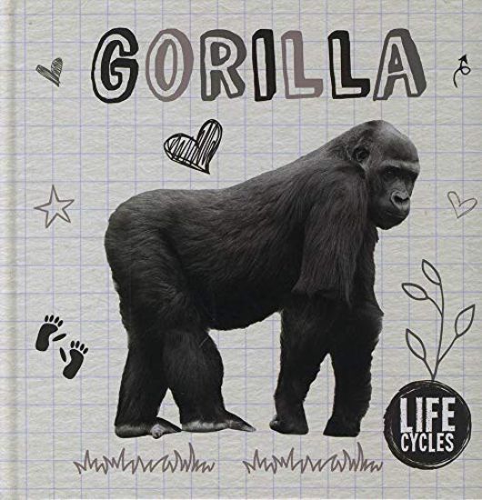 Gorilla