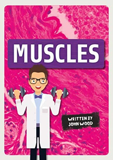Muscles