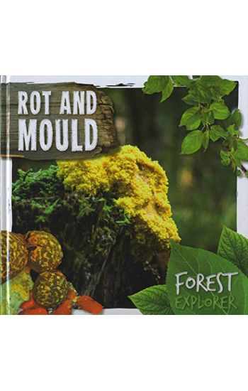 RotMould