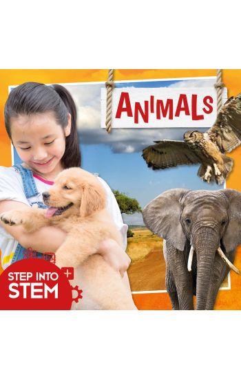 Animals