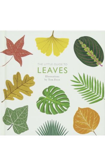 The Little Guide to Leaves