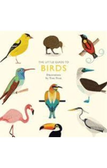 The Little Guide to Birds
