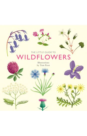 The Little Guide to Wildflowers