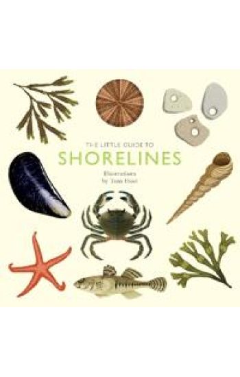 The Little Guide to Shorelines