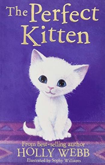 The Perfect Kitten