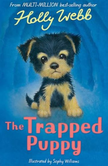 Trapped Puppy