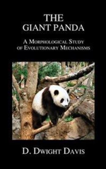 The Giant Panda