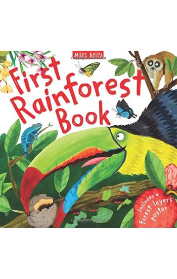 First Rainforest Book