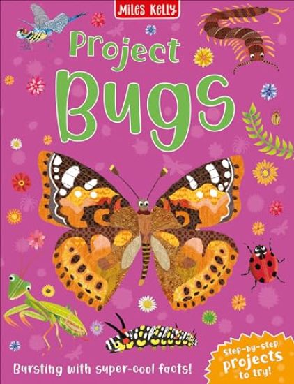 Project Bugs