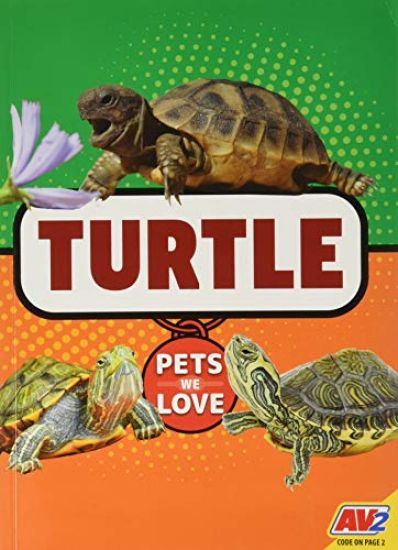 Turtle