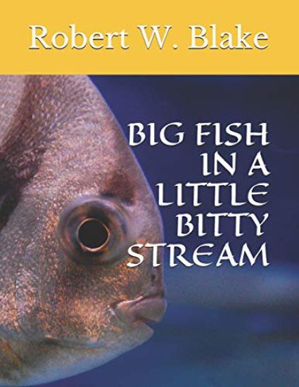 Big Fish in a Little Bitty Stream