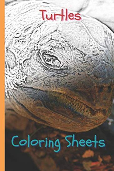 Turtles Coloring Sheets: 30 Turtles Drawings, Coloring Sheets Adults Relaxation, Coloring Book for Kids, for Girls, Volume 3
