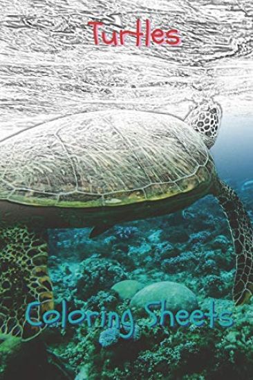 Turtles Coloring Sheets: 30 Turtles Drawings, Coloring Sheets Adults Relaxation, Coloring Book for Kids, for Girls, Volume 5